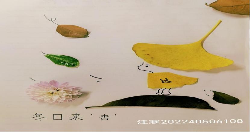 167net必赢